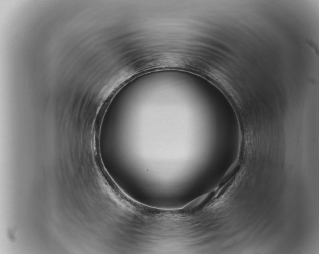 X0000102311034200808011558