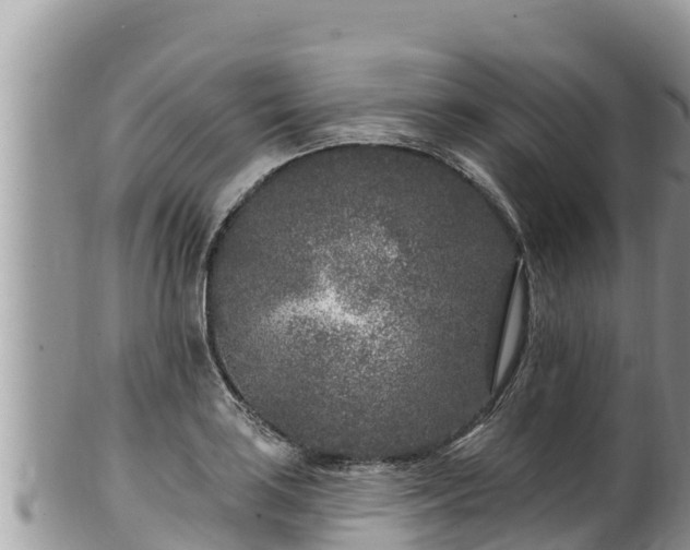 X0000102311035200808011558