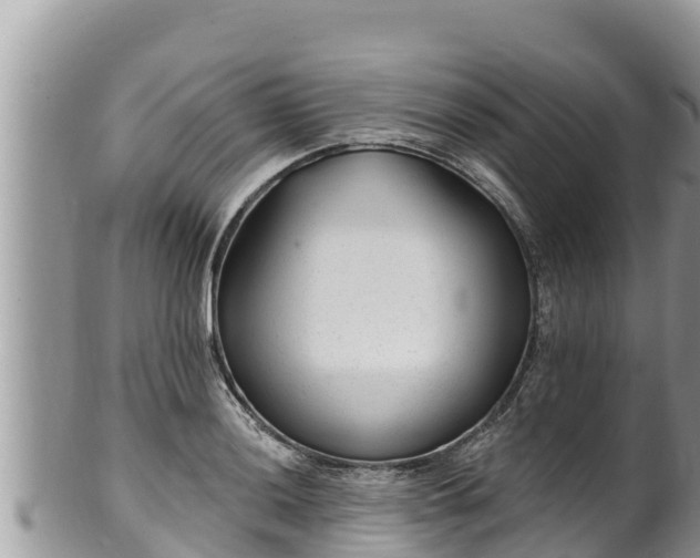 X0000102311036200808011558