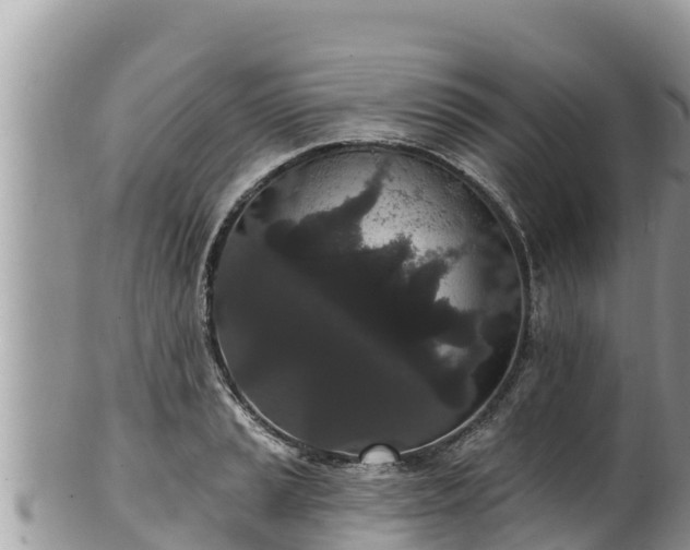 X0000102311037200808011558