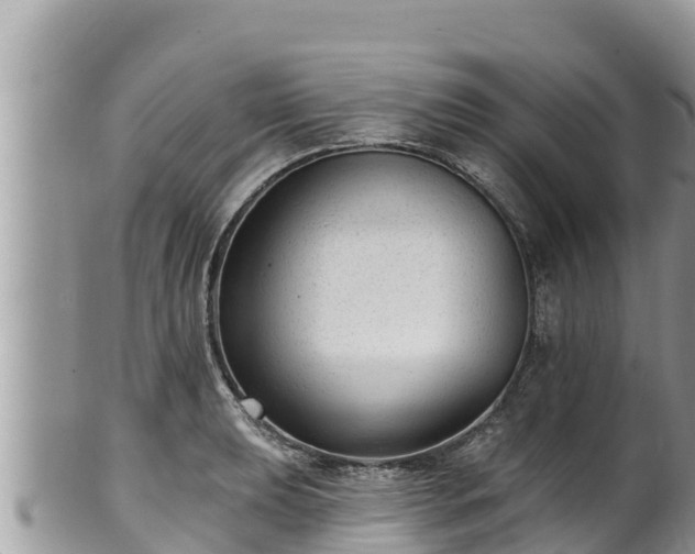 X0000102311039200808011558