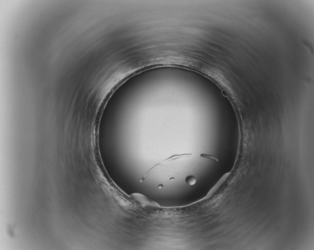 X0000102311040200808011558