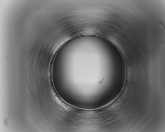 X0000102311042200808011558