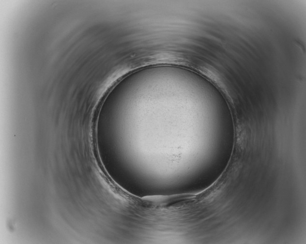 X0000102311043200808011558