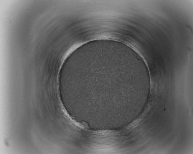 X0000102311045200808011558