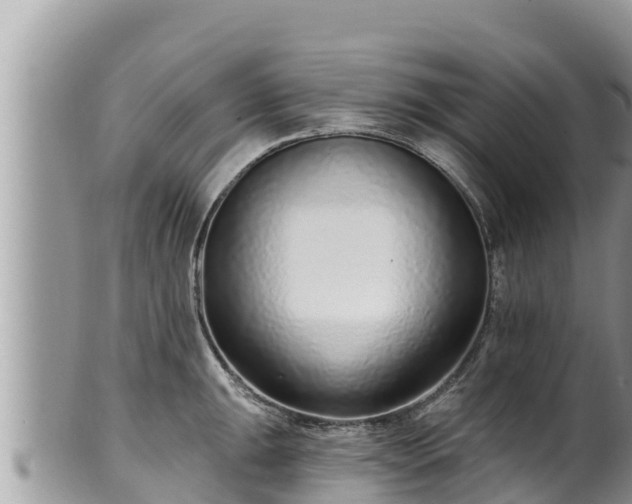 X0000102311047200808011558