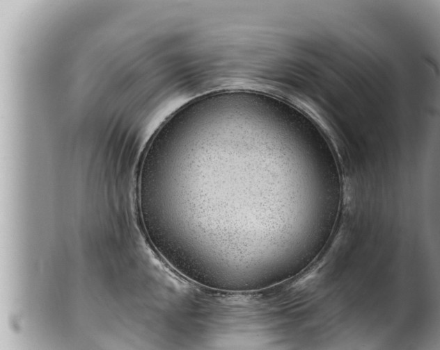 X0000102311048200808011558