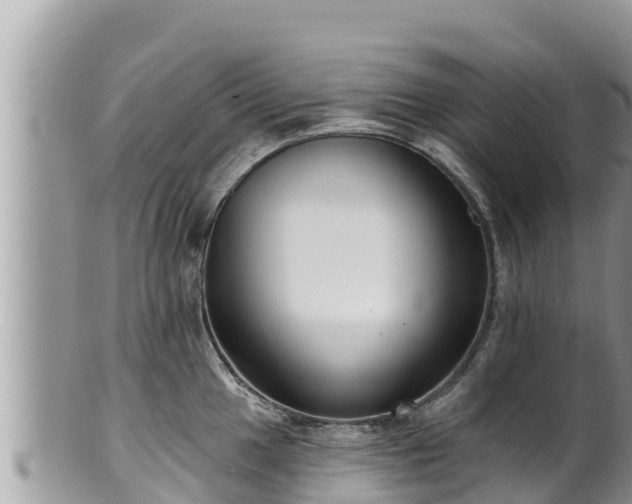 X0000102311049200808011558