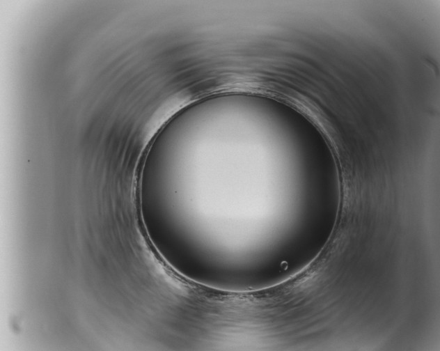 X0000102311050200808011558