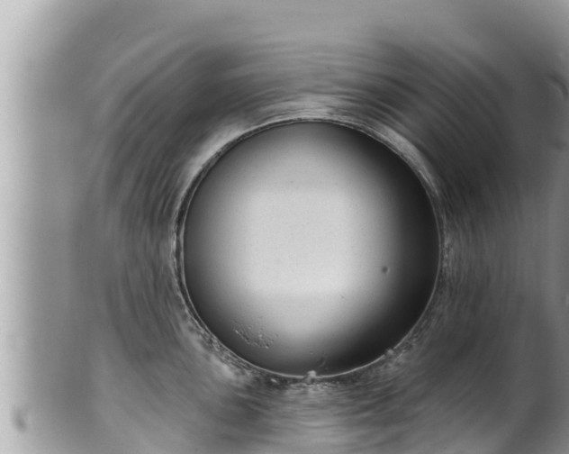 X0000102311051200808011558