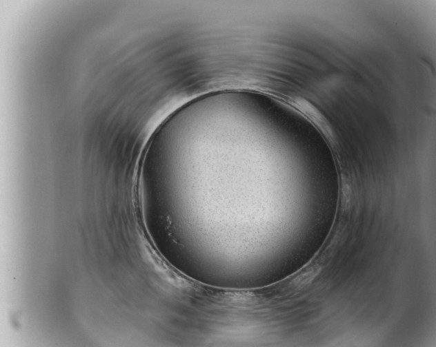 X0000102311052200808011558