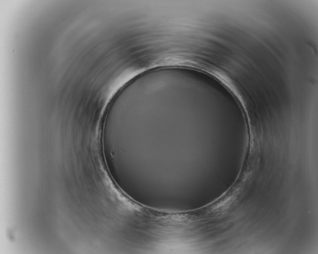 X0000102311053200808011558