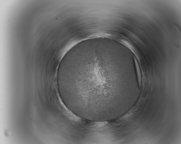 X0000102311055200808011558