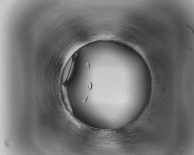 X0000102311056200808011558