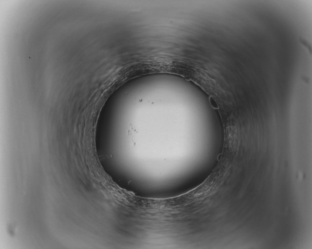 X0000102311057200808011557