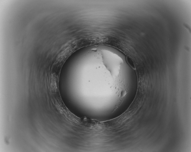 X0000102311058200808011557