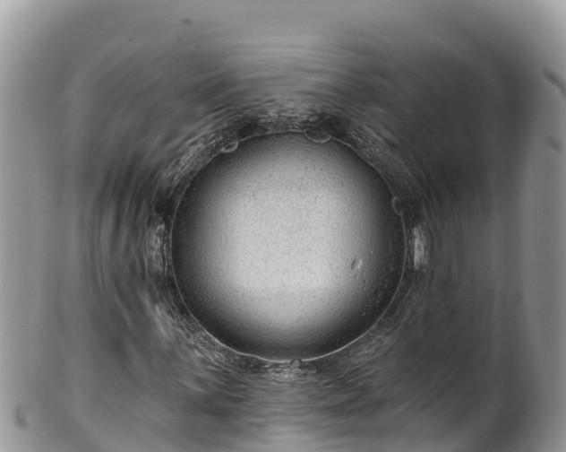 X0000102311059200808011557