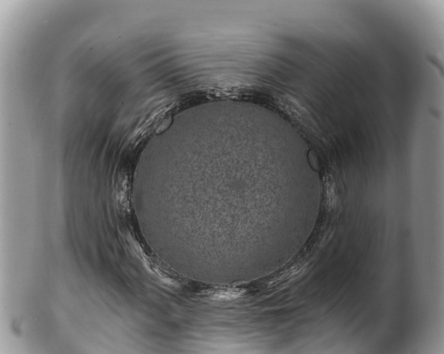 X0000102311060200808011557