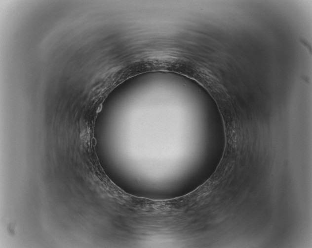 X0000102311061200808011557