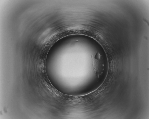 X0000102311062200808011557