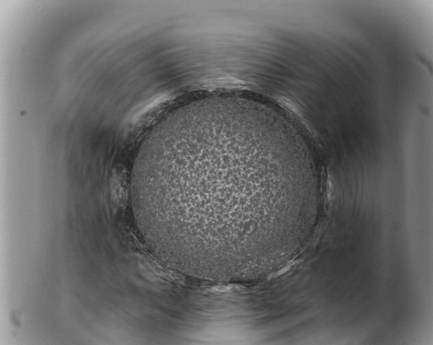 X0000102311063200808011557