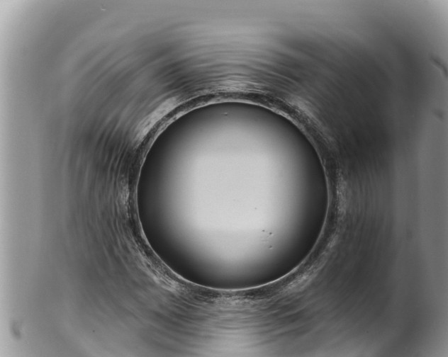 X0000102311065200808011557