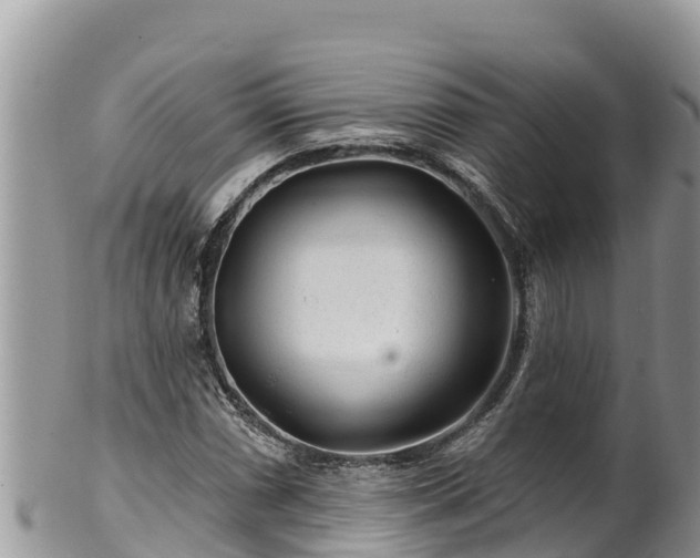 X0000102311066200808011557