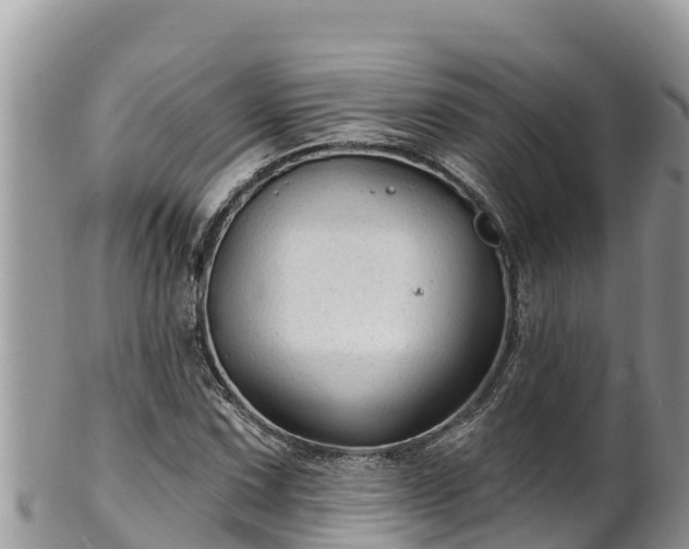 X0000102311067200808011557