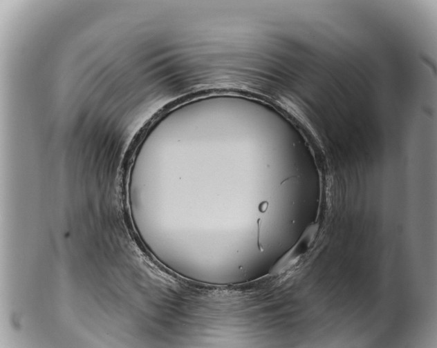 X0000102311068200808011557