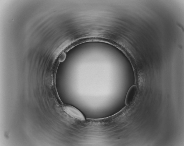 X0000102311069200808011557