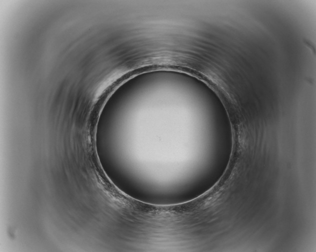 X0000102311070200808011557