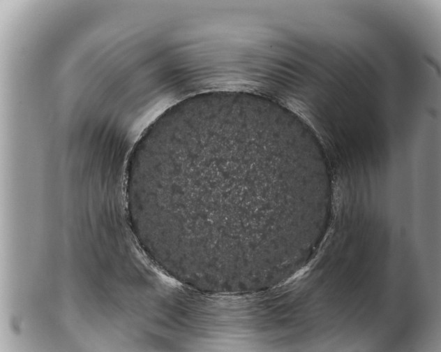 X0000102311071200808011557