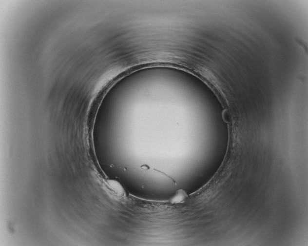 X0000102311072200808011557