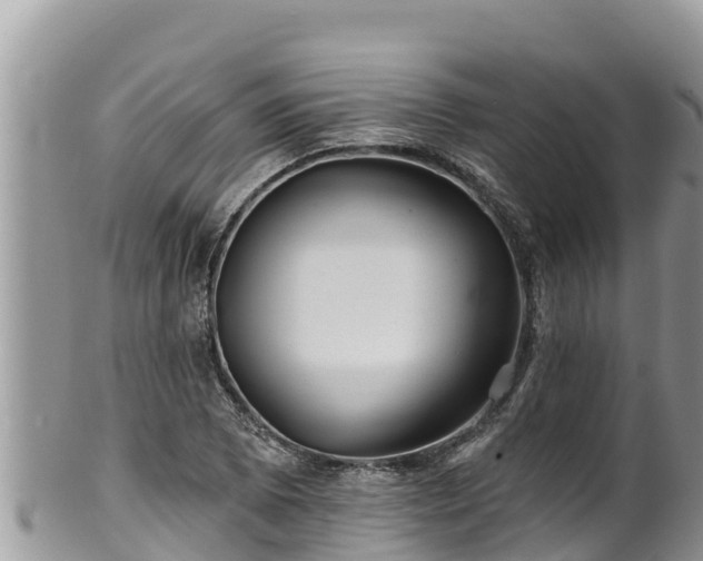 X0000102311073200808011557