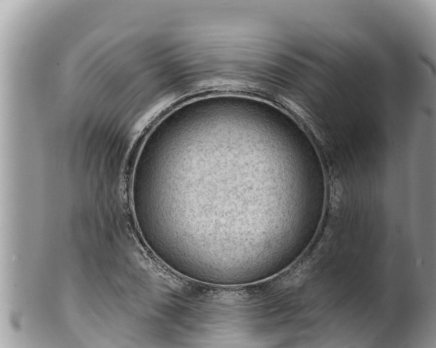 X0000102311074200808011557