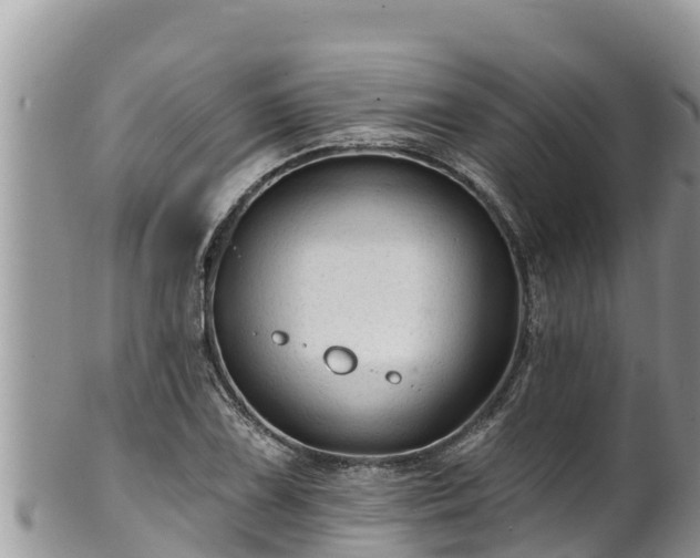 X0000102311075200808011557