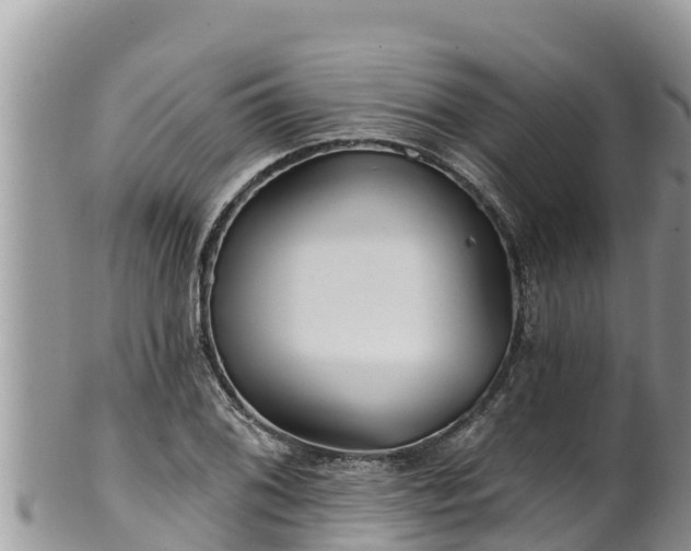 X0000102311076200808011557