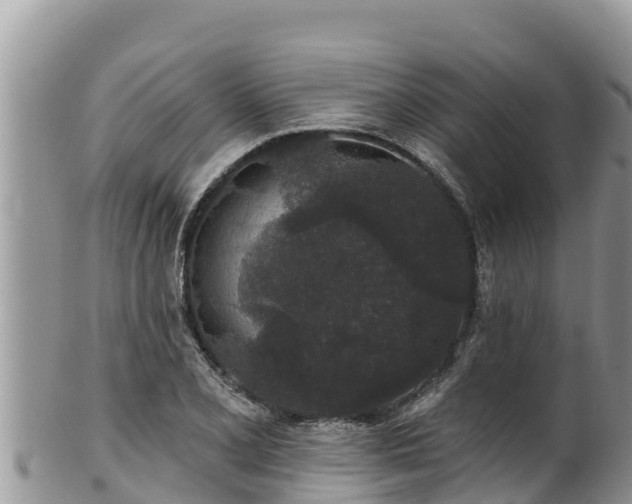 X0000102311077200808011557