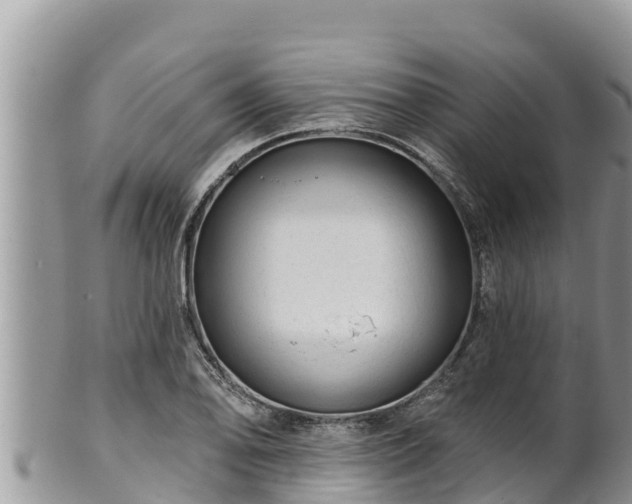 X0000102311078200808011557