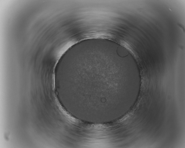 X0000102311079200808011557