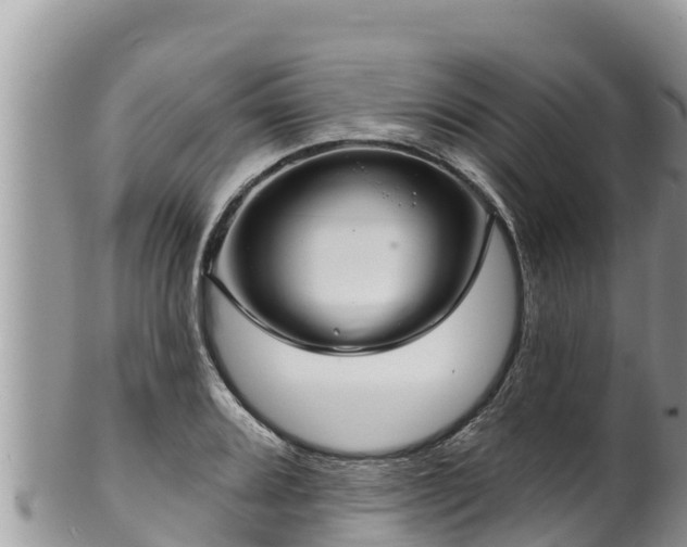 X0000102311080200808011557