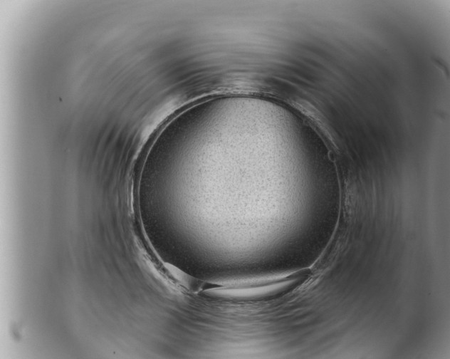 X0000102311083200808011557