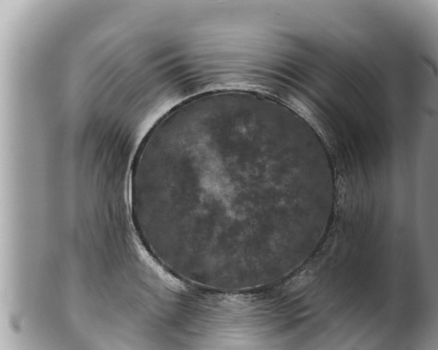 X0000102311084200808011557