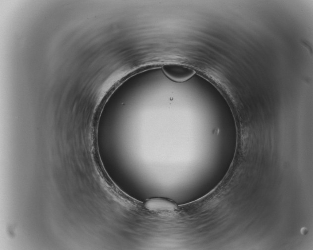 X0000102311085200808011557