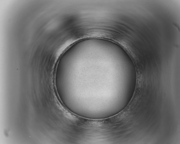 X0000102311086200808011557