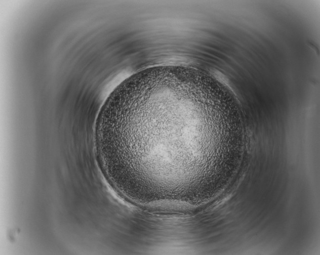 X0000102311087200808011557