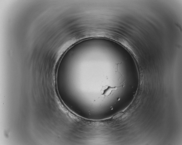 X0000102311088200808011557