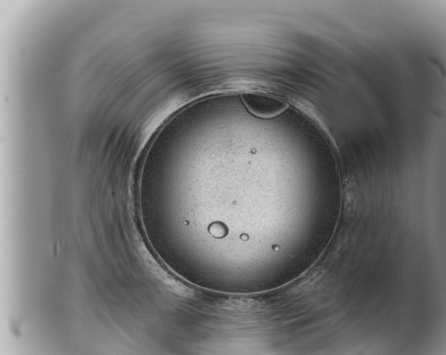 X0000102311091200808011557