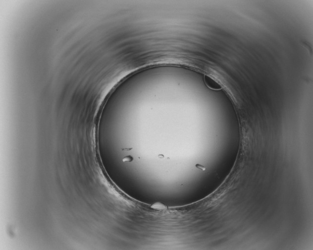 X0000102311092200808011557