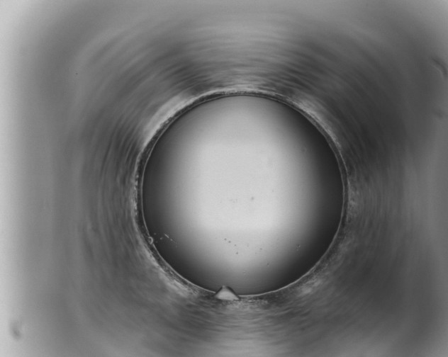 X0000102311093200808011557